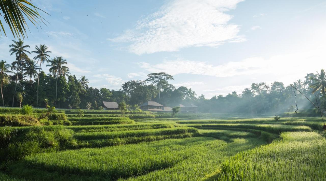 Benisari Batik Garden Cottage Убуд Экстерьер фото